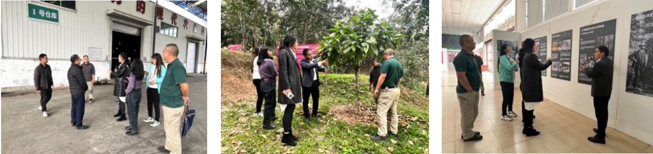 我院團隊走入“中國天然橡膠第一縣”，與勐臘共赴國家現(xiàn)代農(nóng)業(yè)產(chǎn)業(yè)園建設(shè)之路